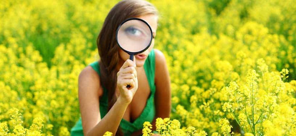 Discover